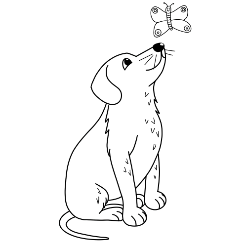 Colouring Picture - Dog